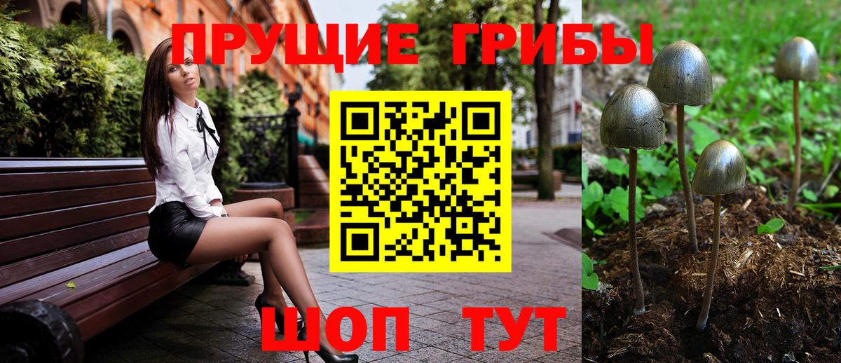 Псилоцибиновые грибы GOLDEN TEACHER  Вход с VPN  Тамбов 